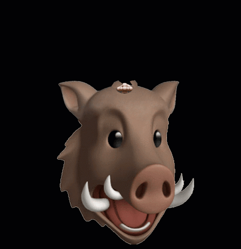 Hog Exploding GIF