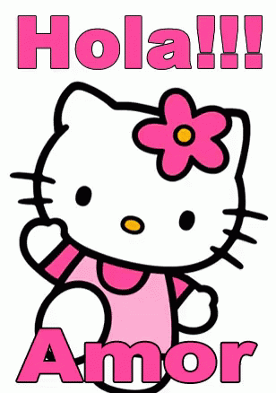 Hola Amor GIF
