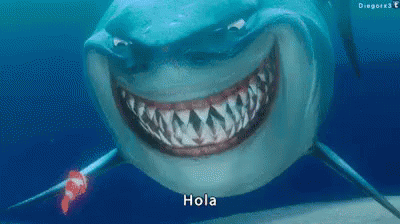 Hola GIF. This 400 x 224 animated GIF is part of our fish are friends not food collection. View the original animation, share it, or browse related GIFs.
