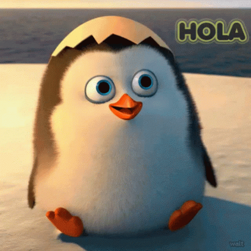 Hola Tu Cute GIF