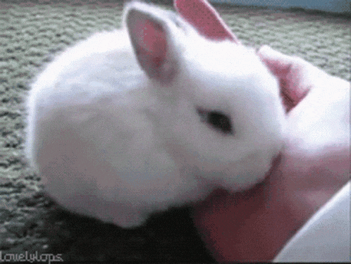 Hold Me GIF