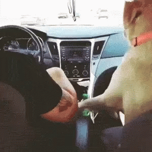 Holding Hands Dog GIF