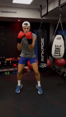 Holger Rune Boxing GIF