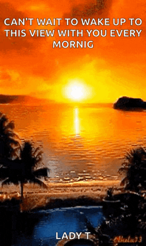 Holiday Sunshine GIF