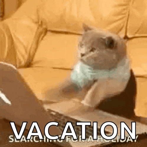 Holiday Time GIF