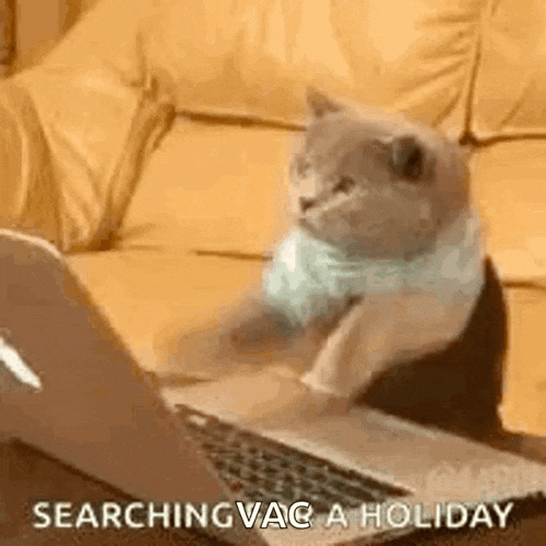 Holiday Time GIF