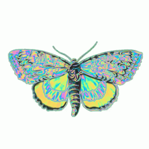 Holographic Butterfly Flying GIF