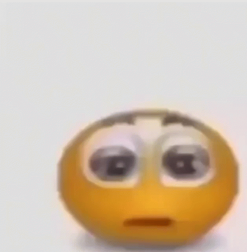 Holy Moly No Way GIF