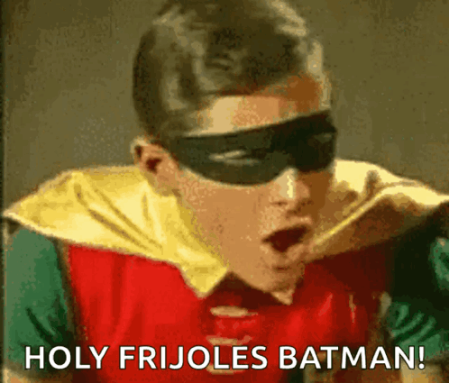 Holy Robin GIF