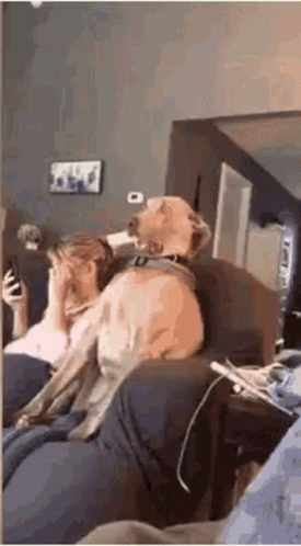 Holy Shit Shocked GIF