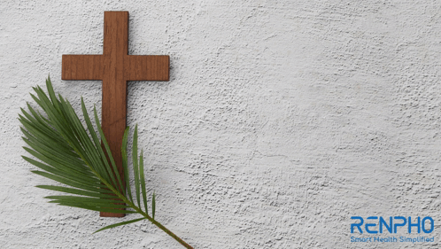 Holy Week Renpho GIF