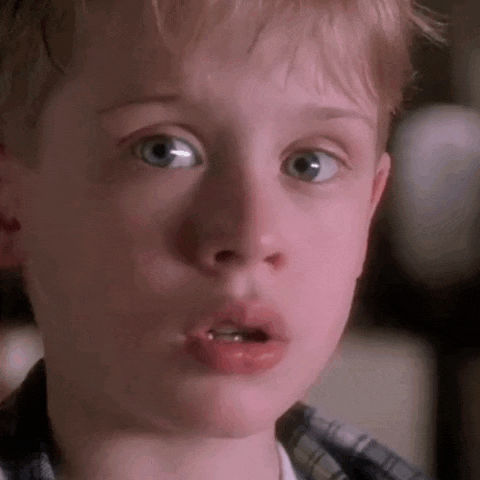 Home Alone Home Alone 1 GIF