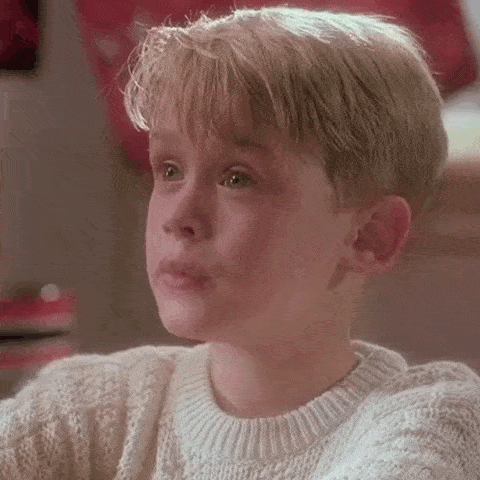 Home Alone Home Alone 1 GIF