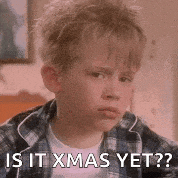 Home Alone Home Alone 1 GIF