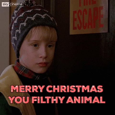 Home Alone Home Alone 2 GIF. This 480 x 480 animated GIF is part of our merry christmas ya filthy animal collection. Related themes include christmas…