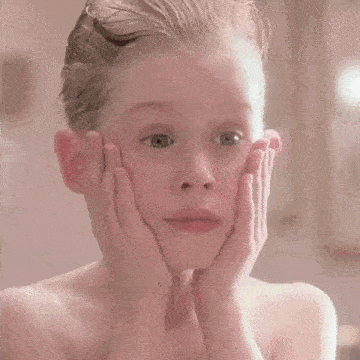 Home Alone Hone Alone 1 GIF