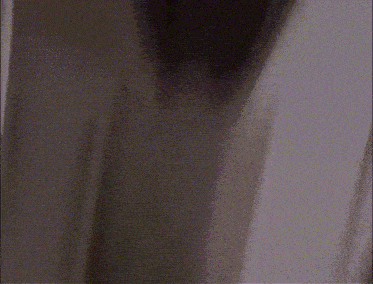 Home Alone Marv Meme GIF