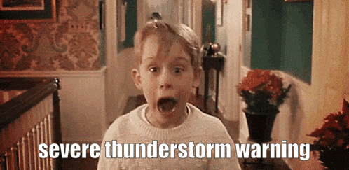 Home Alone Meme GIF