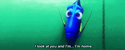 Home Dory GIF