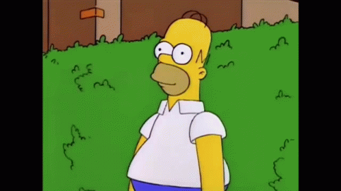 Homer Bushes Fast GIF