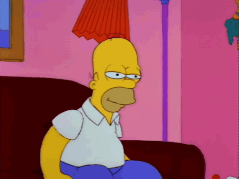 Homer Homer Simpson GIF