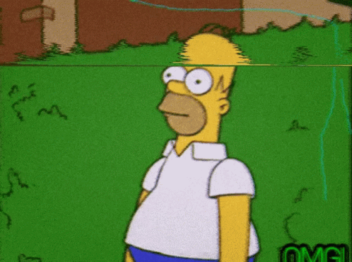 Homer Homer Simpson GIF. This 498 x 370 animated GIF is part of our homer simpson hedge collection. Related themes include glitch, homer simpson, shocked…