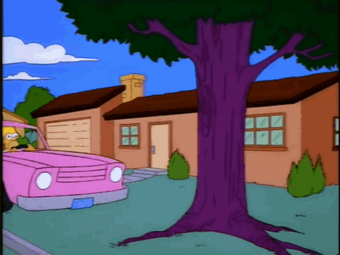 Homer Simpson Car Crash GIF