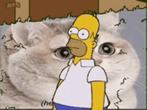 Homer Simpson Disappear GIF. This 480 x 360 animated GIF is part of our homer disappearing collection. Related themes include cat, homer simpson. Created by…