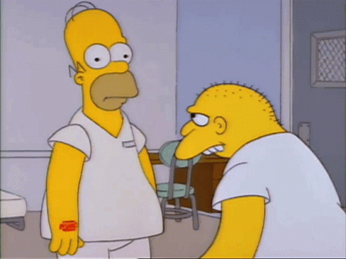 Homer Simpson Homer GIF
