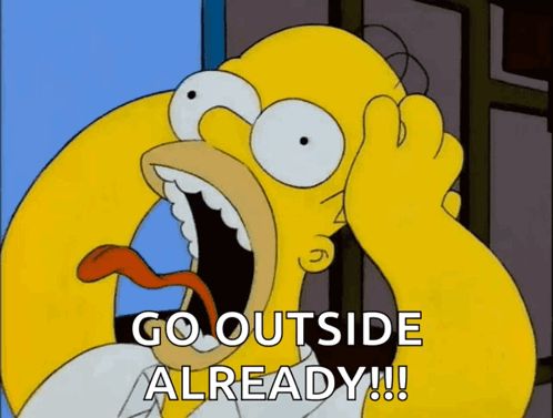 Homer Simpson GIF