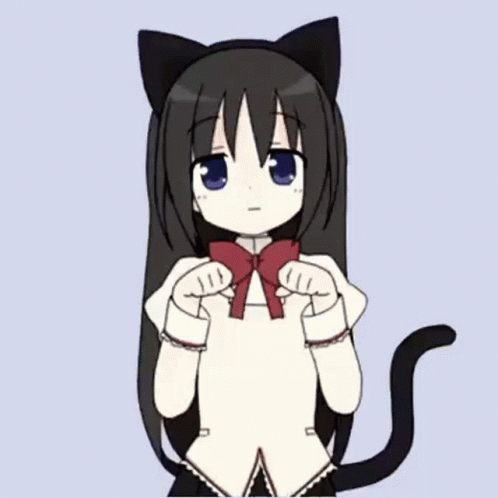 Homura Homura Cat GIF