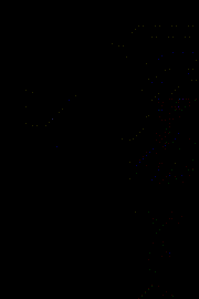 Honest Reaction GIF
