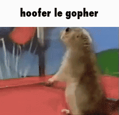 Hoofer Goofer GIF. This 244 x 235 animated GIF is part of our funny squirrel collection. Related themes include goofy. Created by hannahsctt. View the…