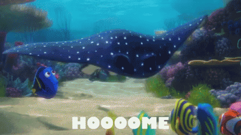Hooome GIF