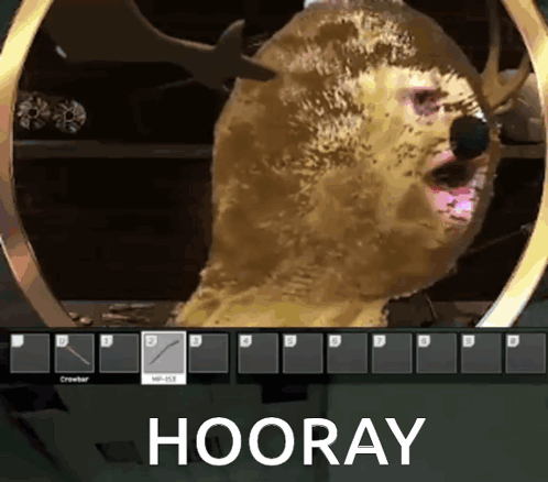 Hooray Burntpeanut GIF