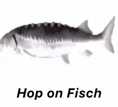 Hop On Fisch Hop On Roblox GIF