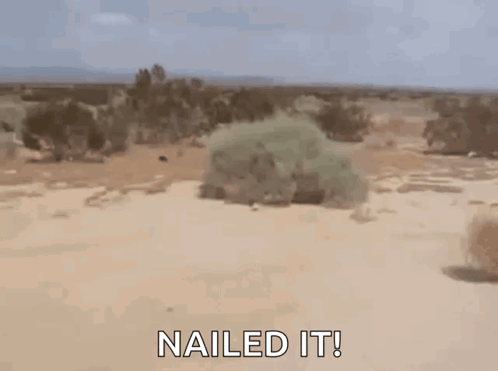 Hop On The Cycle Frontier GIF