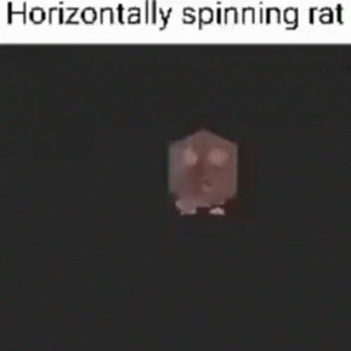 Horizontally Spinning Rat GIF