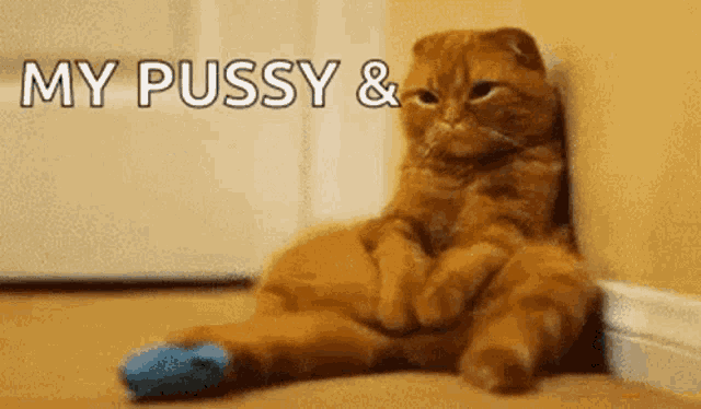 Horny Pussy GIF