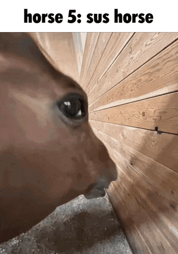 Horse 5 GIF