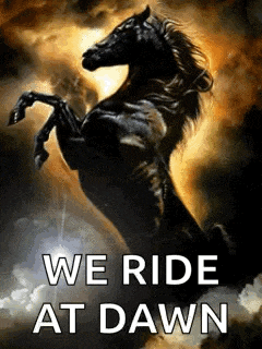 Horse Black Horse GIF
