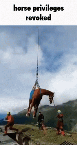Horse GIF. This 266 x 498 animated GIF is part of our stick figure horse collection. Related themes include horse. Created by BootlegJacket. View the…