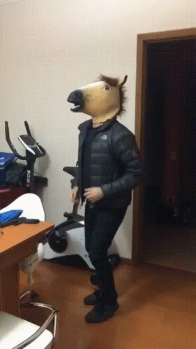 Horse Crazy GIF. This 281 x 498 animated GIF is part of our stick figure horse collection. Related themes include crazy, drunk, horse. Created by…