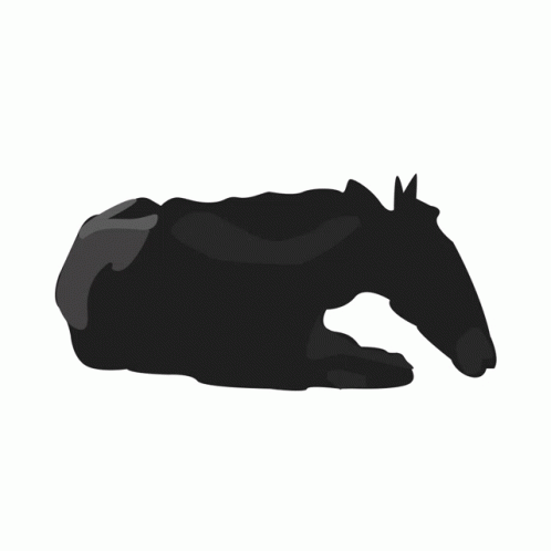 Horse GIF