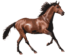 Horse Glue Umamusume Sticker