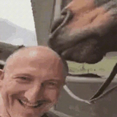Horse Horse Eating GIF