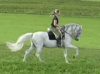Horse Horseback Riding GIF. This 340 x 254 animated GIF is part of our stick figure horse collection. Related themes include horse. Created by cali7. View…