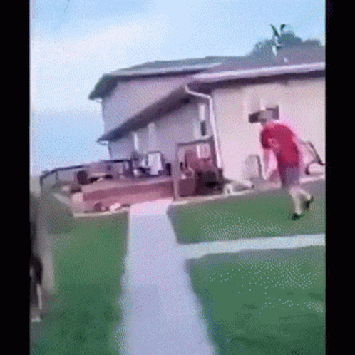 Horse Kick Kick GIF. This 498 x 498 animated GIF is part of our horse kick collection. Related themes include damn, horse, kick. Created by YESiAMgay. View…