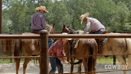 Horse Kicking John Paul Gonzalez GIF. This 498 x 280 animated GIF is part of our horse kick collection. Created by insp. View the original animation, share…