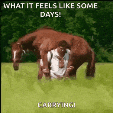 Horse Man Drunk Carrying A Horse GIF